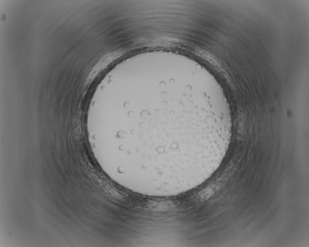 X0000062890978200602101737