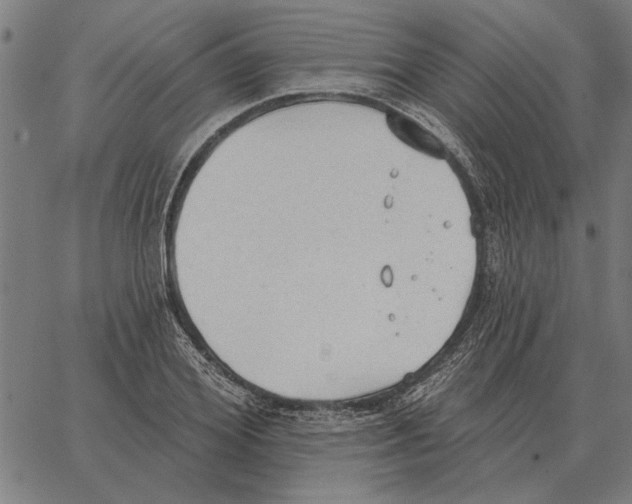 X0000062890980200602101737