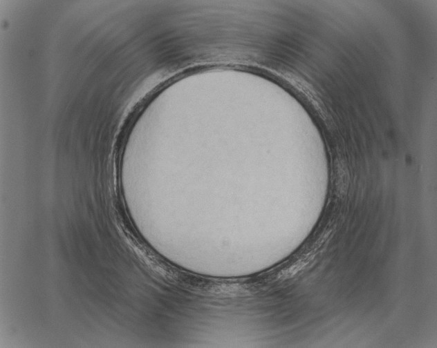 X0000062890982200602101737