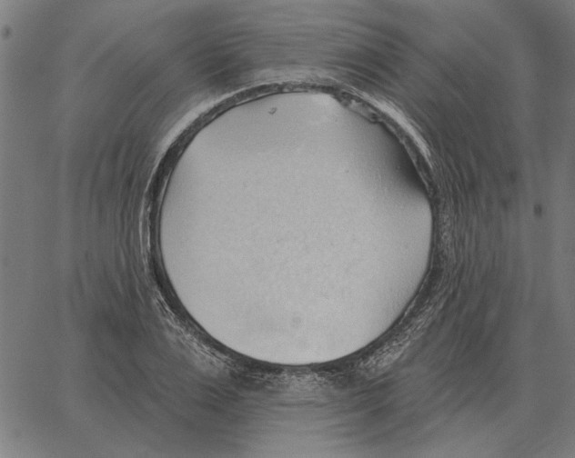 X0000062890983200602101737