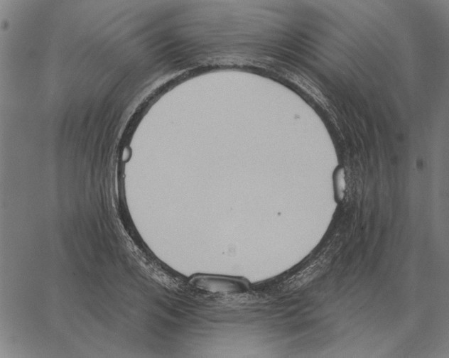 X0000062890984200602101737