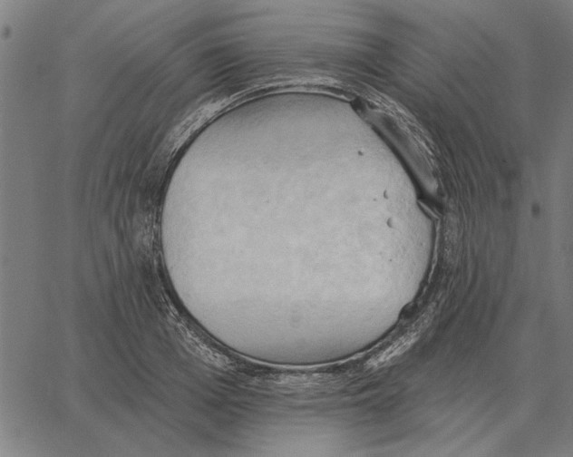 X0000062890985200602101737