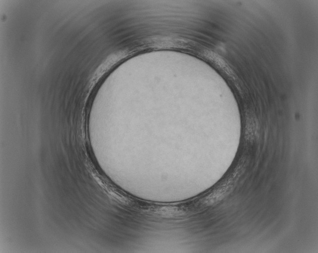 X0000062890986200602101737