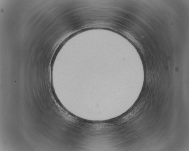 X0000062890988200602101737