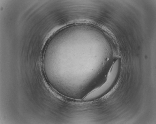 X0000062890989200602101737