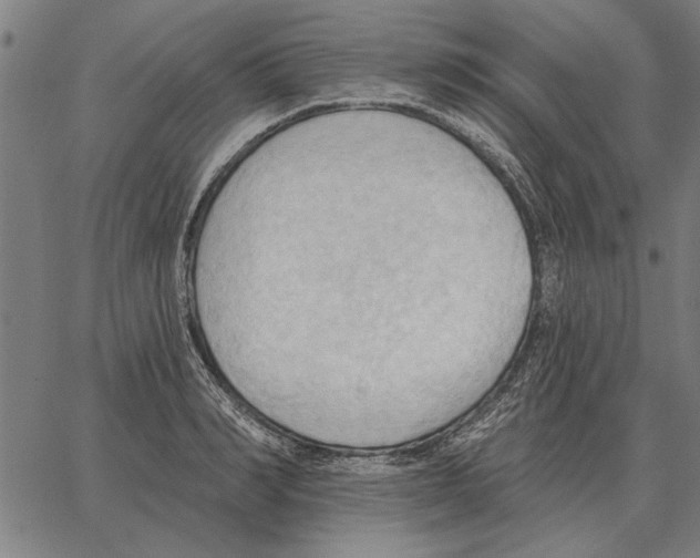 X0000062890990200602101737