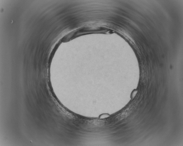 X0000062890992200602101737