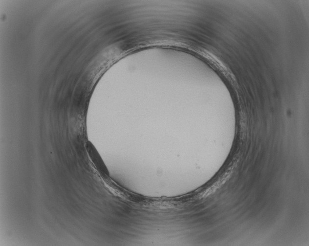 X0000062890993200602101737