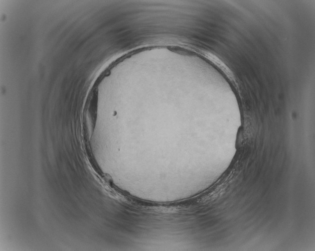 X0000062890996200602101737