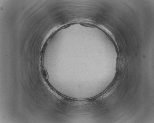 X0000062890997200602101737