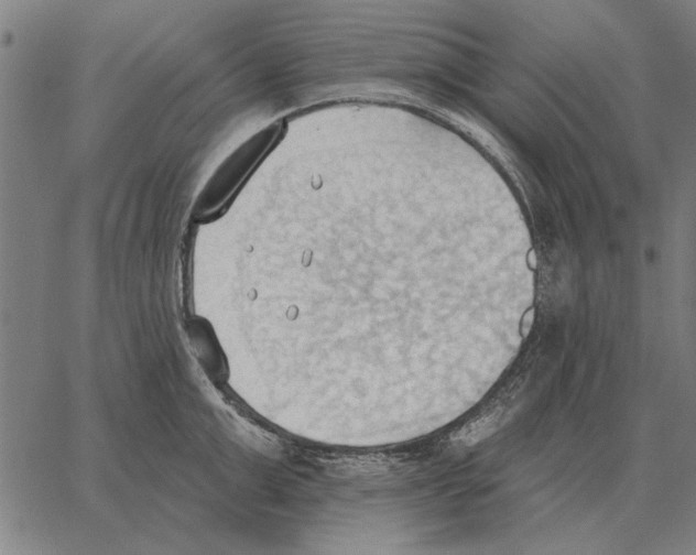 X0000062890999200602101737