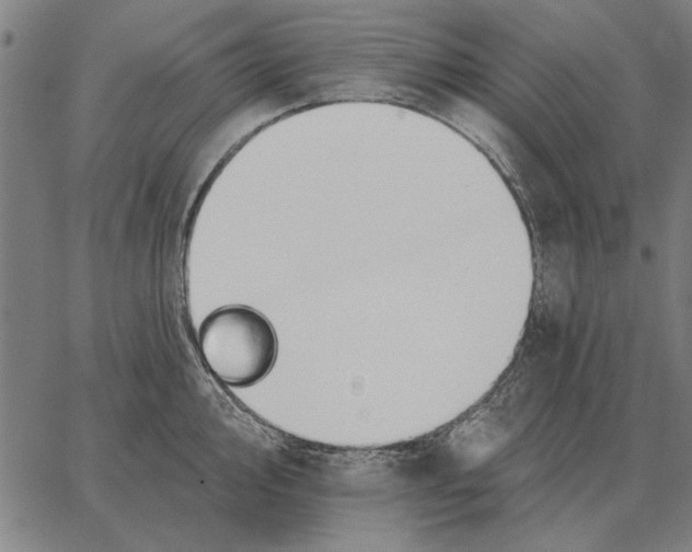 X0000062891000200602101737