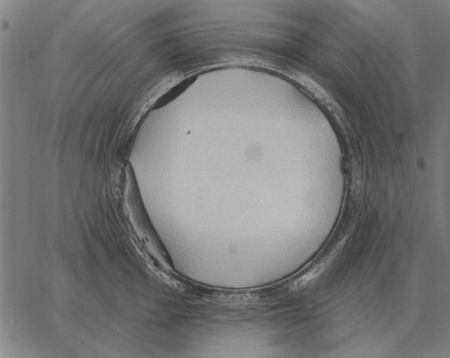 X0000062891001200602101737