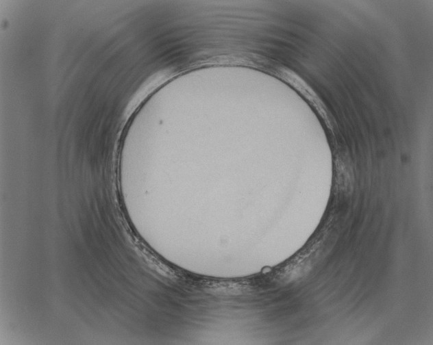 X0000062891002200602101736