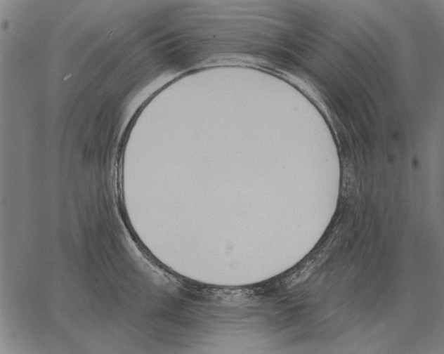 X0000062891003200602101736