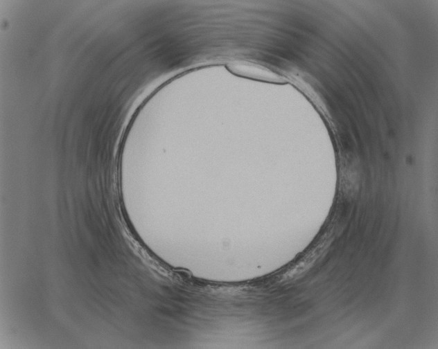 X0000062891004200602101736