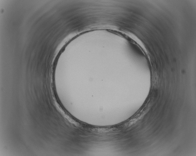 X0000062891005200602101736