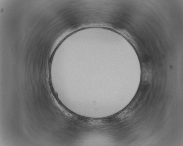 X0000062891006200602101736