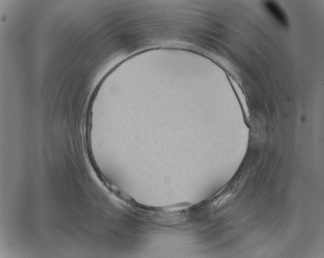 X0000062891007200602101736