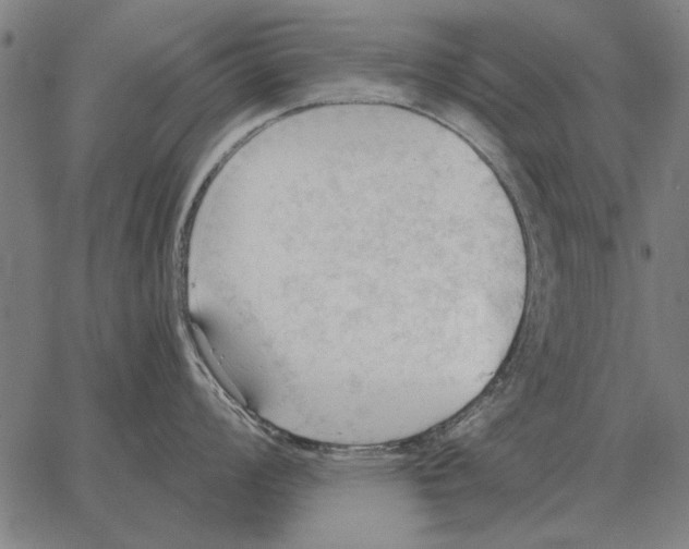 X0000062891008200602101736