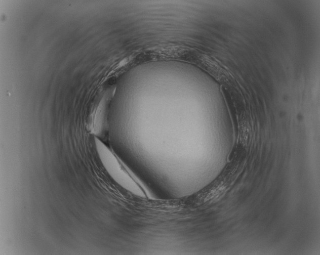 X0000062891010200602101736