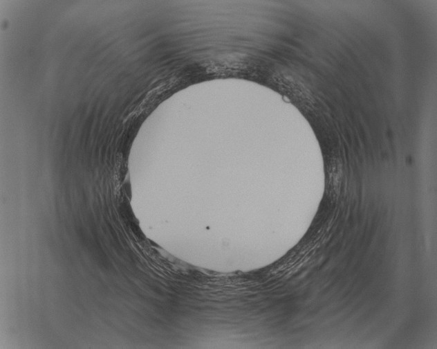 X0000062891012200602101736