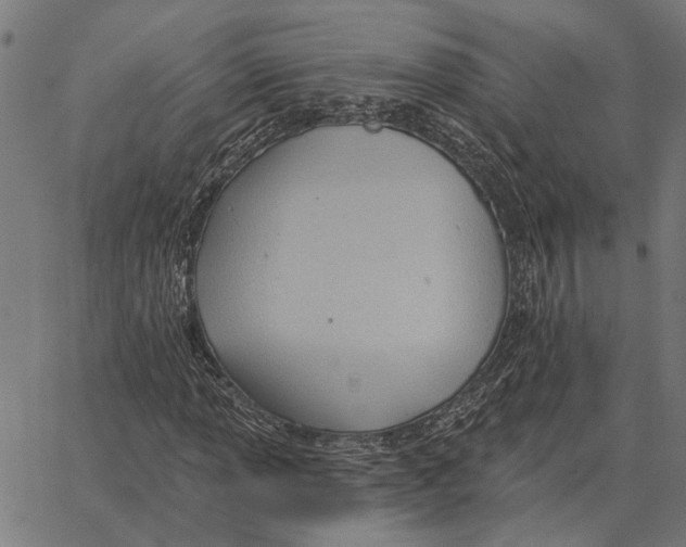 X0000062891013200602101736