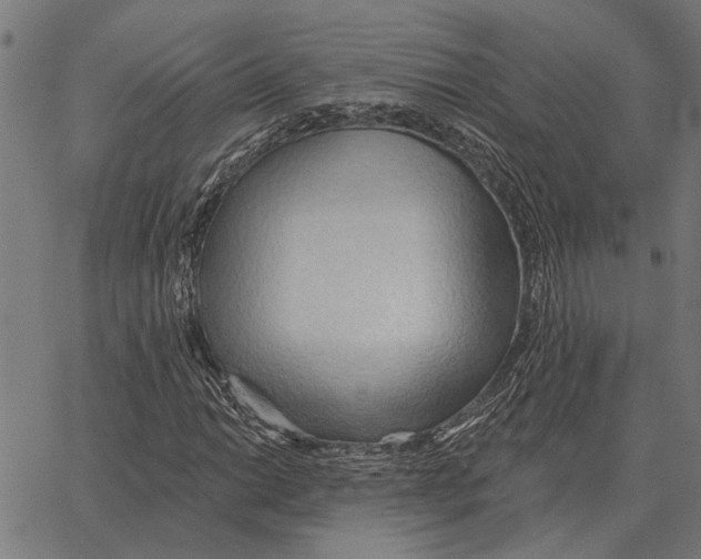 X0000062891014200602101736