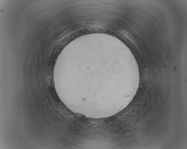 X0000062891015200602101736