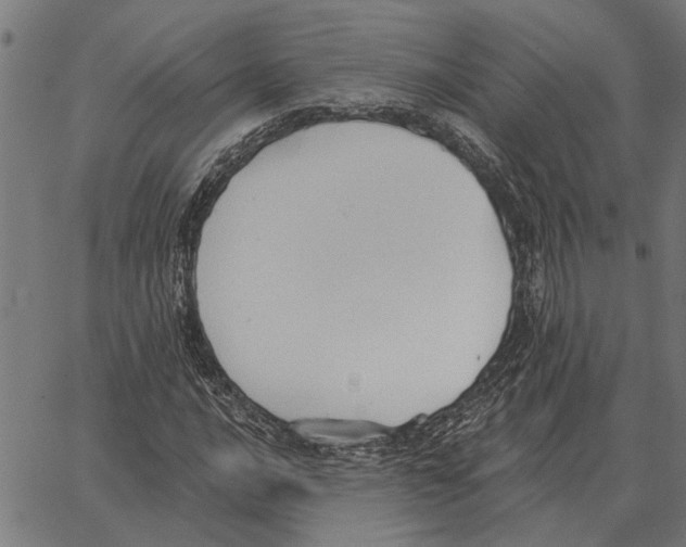 X0000062891016200602101736