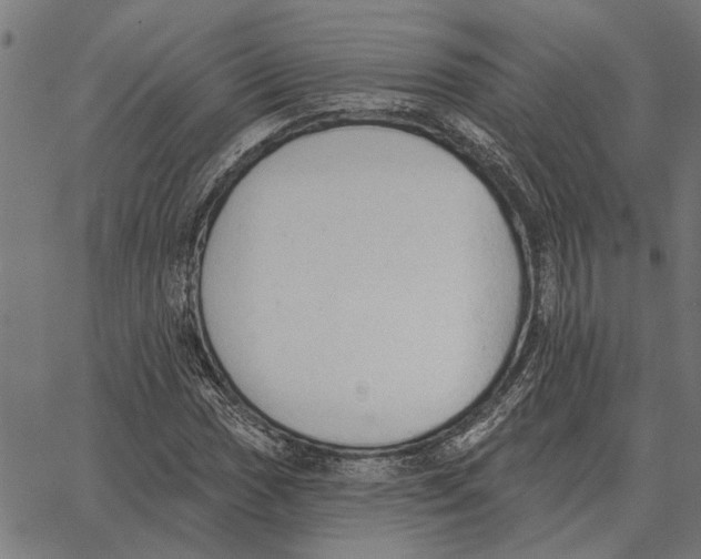 X0000062891017200602101736