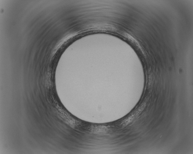 X0000062891019200602101736