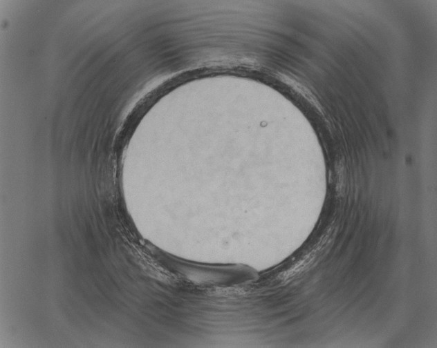 X0000062891021200602101736