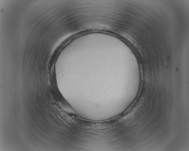 X0000062891022200602101736