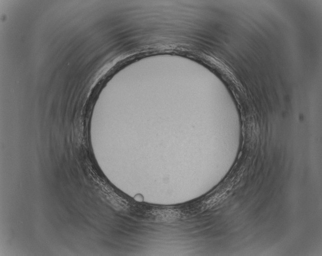 X0000062891023200602101736