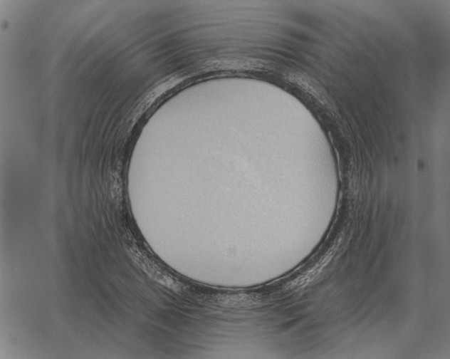 X0000062891025200602101736