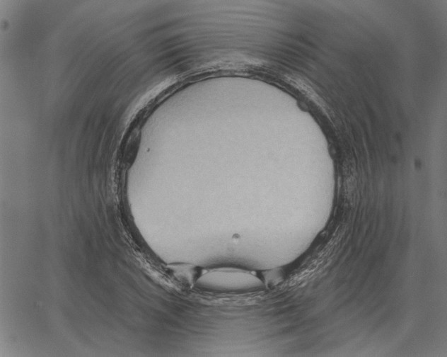 X0000062891026200602101736