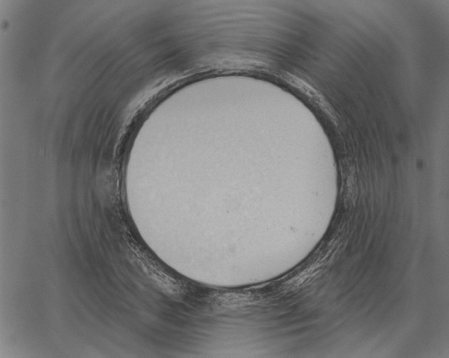 X0000062891027200602101736