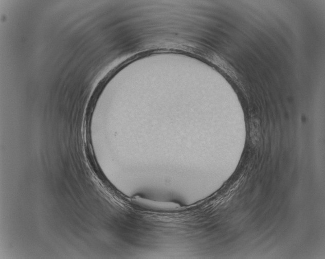 X0000062891028200602101736