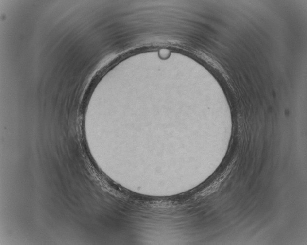 X0000062891029200602101736