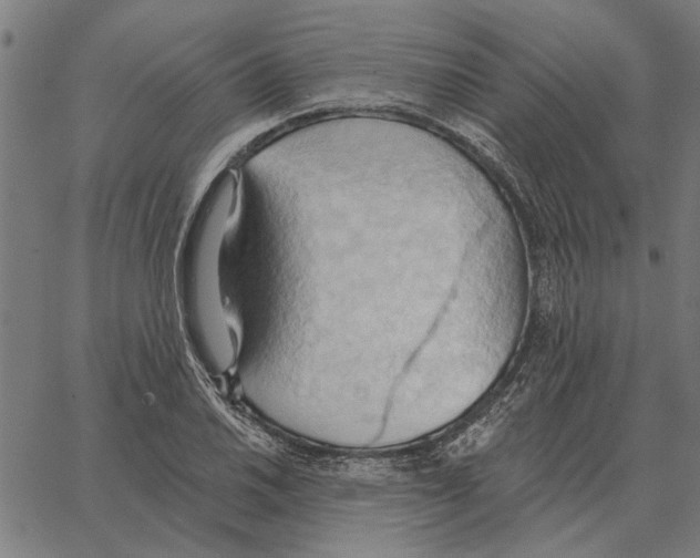 X0000062891030200602101736