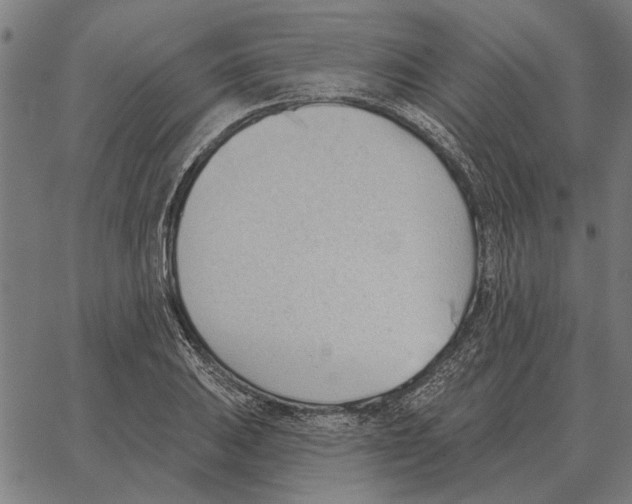 X0000062891031200602101736