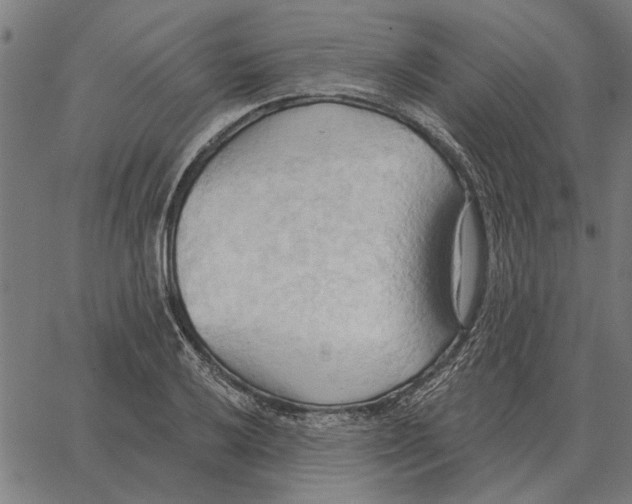 X0000062891032200602101736