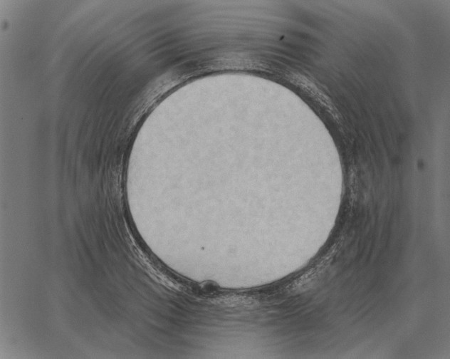 X0000062891033200602101736