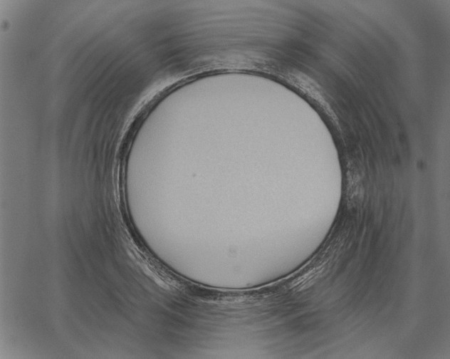 X0000062891035200602101736