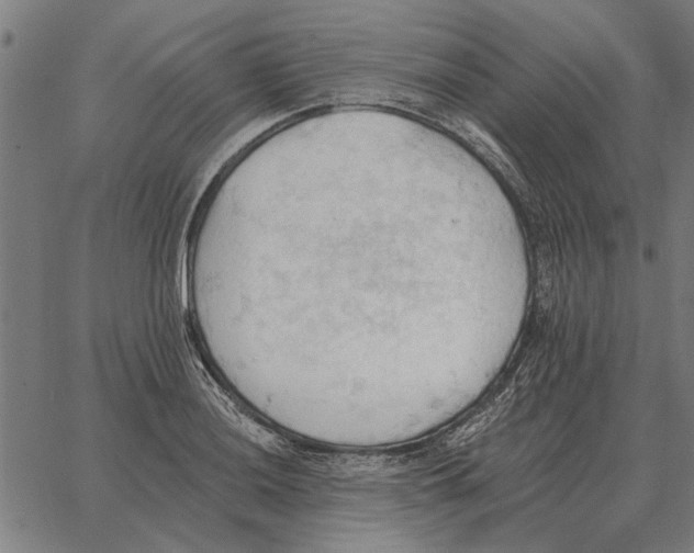 X0000062891036200602101736