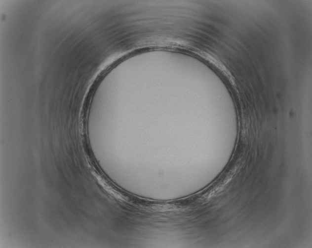 X0000062891037200602101736