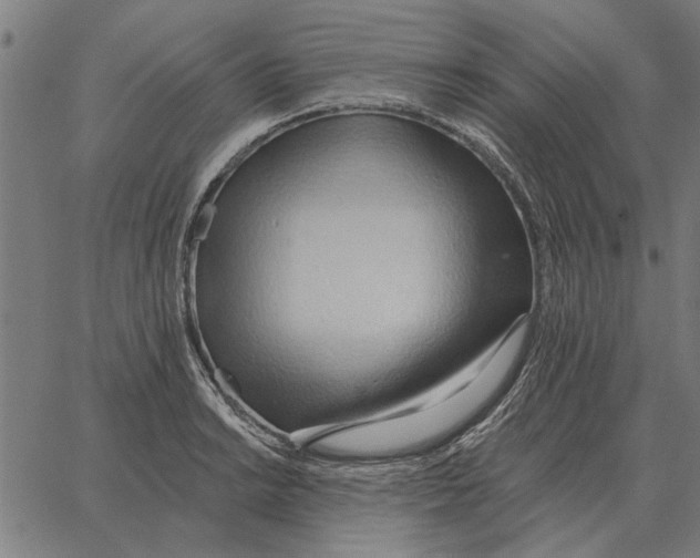 X0000062891038200602101736