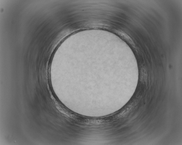 X0000062891039200602101736