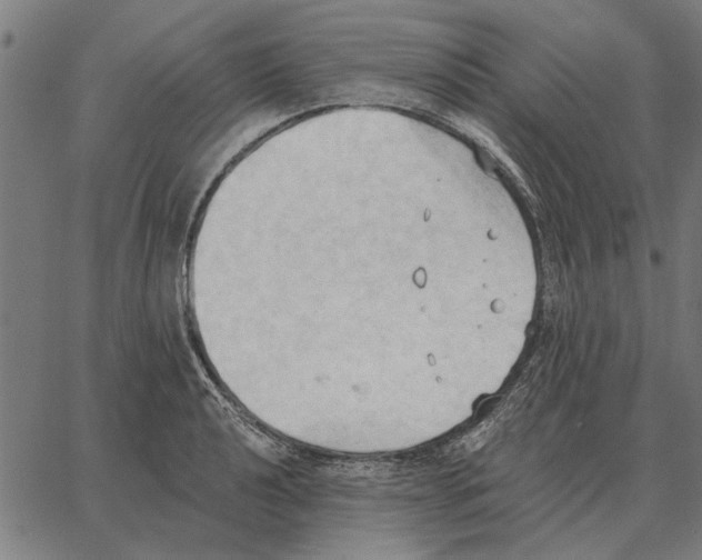 X0000062891040200602101736